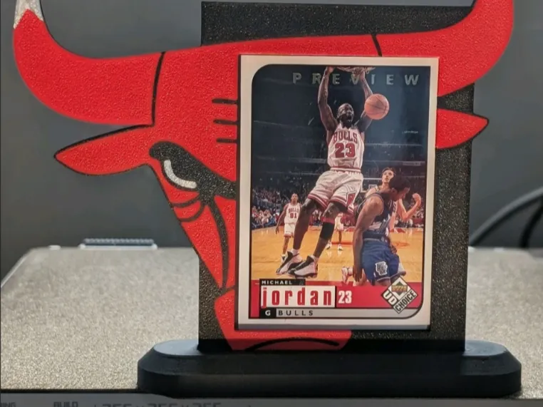 Chicago Bulls Toploader Display Stand