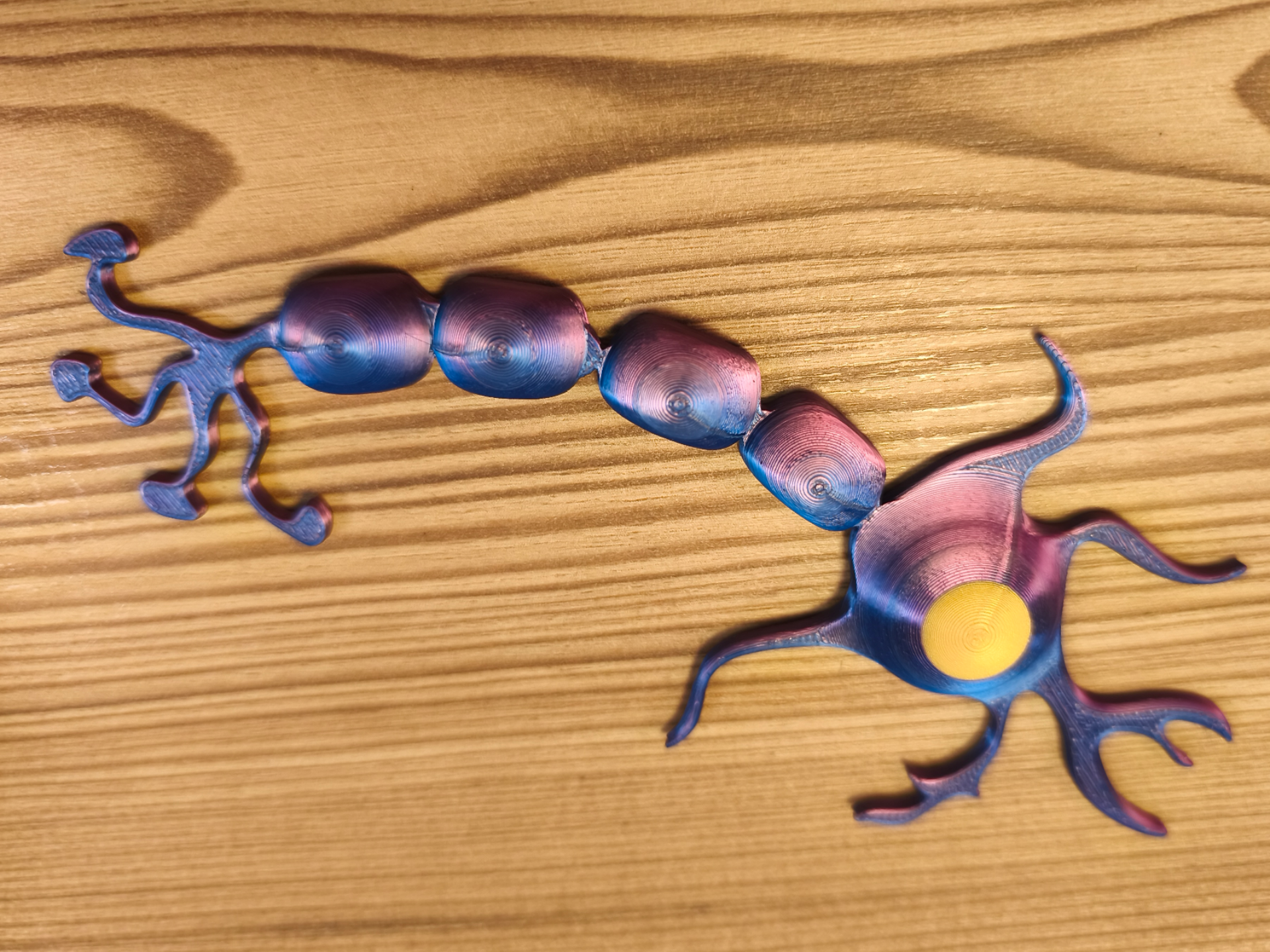 Neuron Magnethalter