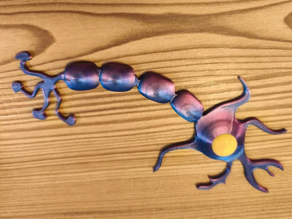 https://makerworld.bblmw.com/makerworld/model/US78f687680054c4/design/a365681e4c48d297.jpg