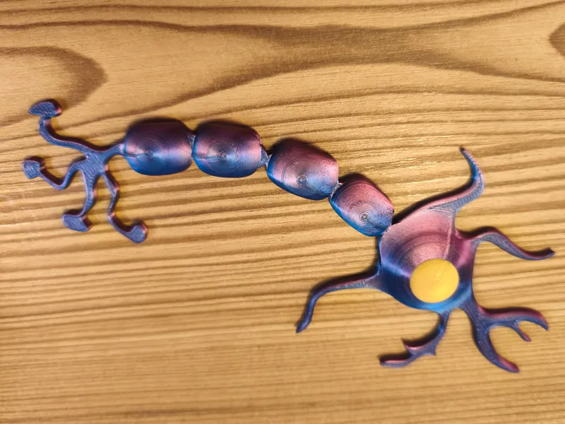 Neuron Magnethalter