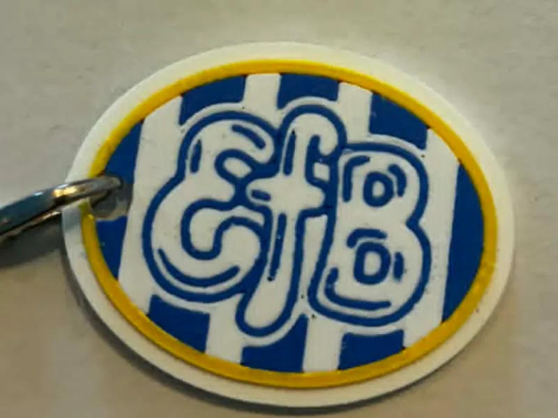 EfB Keychain