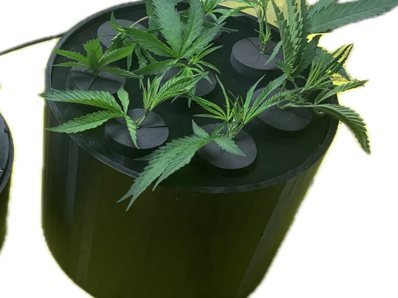 DWC 8 Hole Hydro-Cloner 