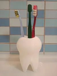 Porte-brosses à dents en forme de dent — photo 1