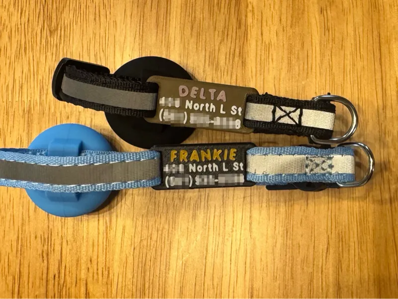 Cat ID Tag to fit any 1 cm wide collar