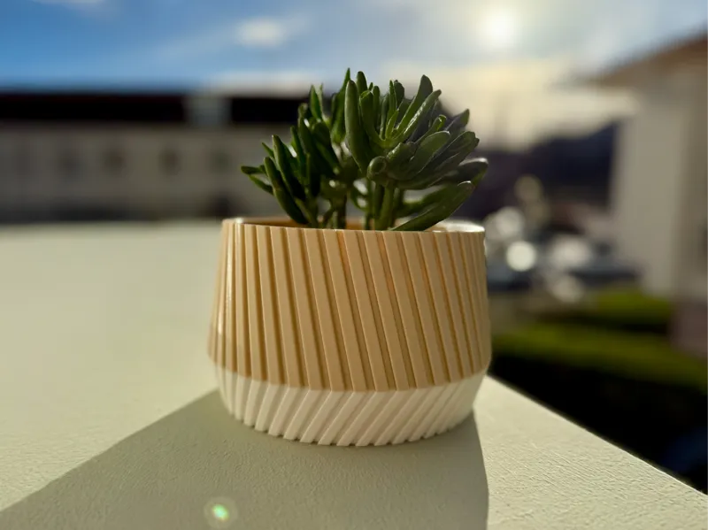 Wide Plant Pot for Mama