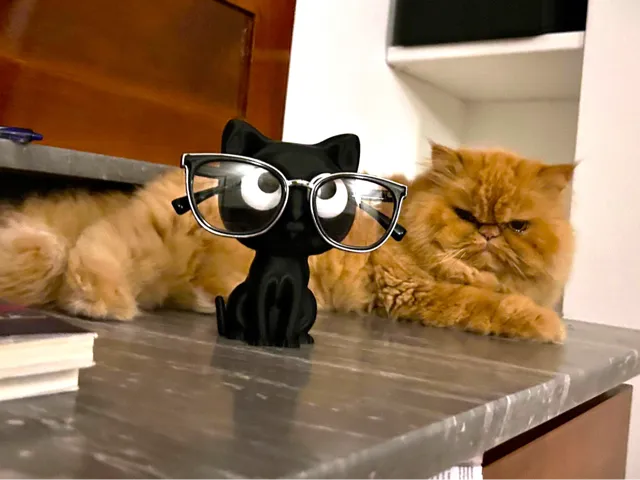 Cat eyeglass holder
