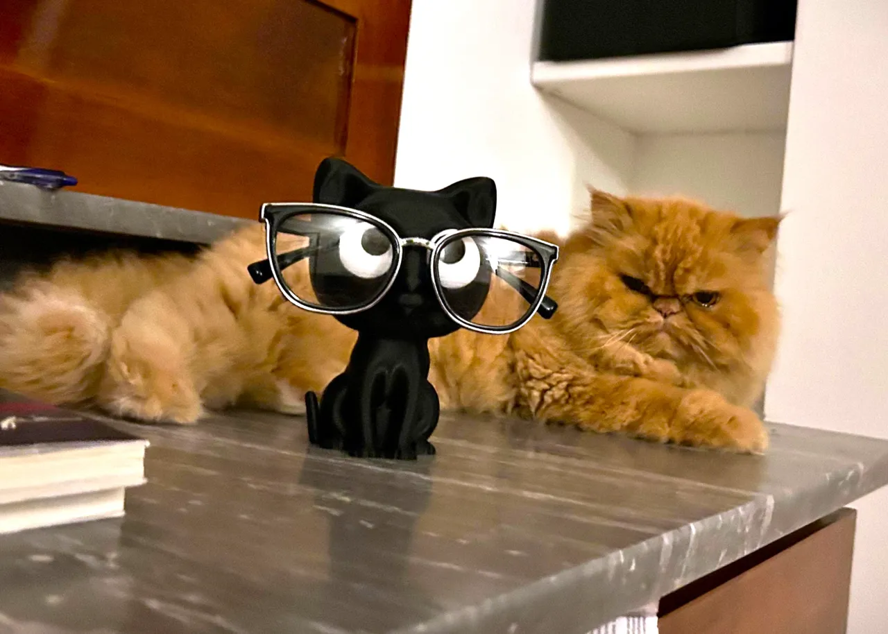Cat eyeglass holder view 3