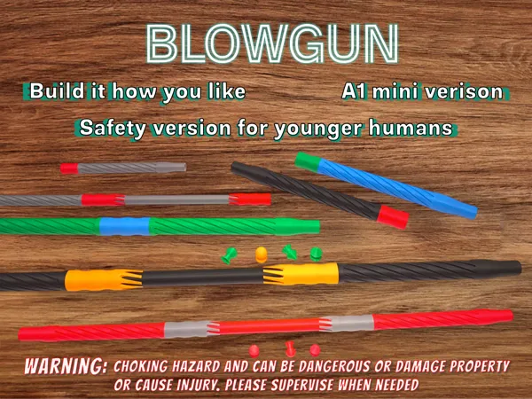 https://makerworld.bblmw.com/makerworld/model/US790437f11ea606/design/2025-03-13_e93b39b4d6c24.png