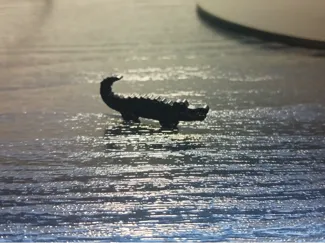 Small Crocodile Decoration (2 min print time!)