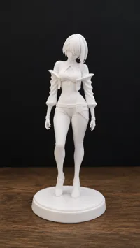 0.08mm layer, 2 walls, 15% infill