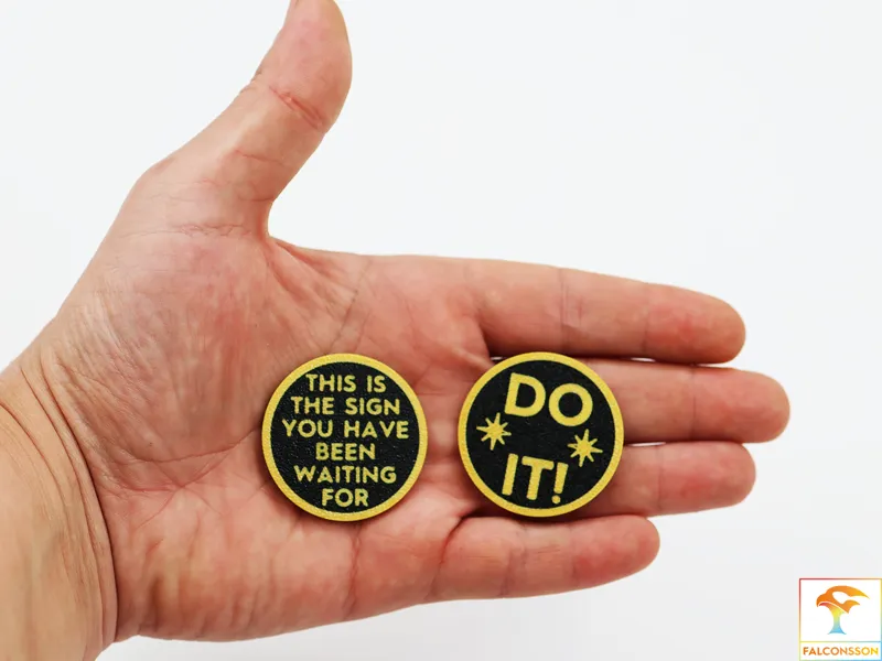 Fortune Coin - A Sign From The Universe!