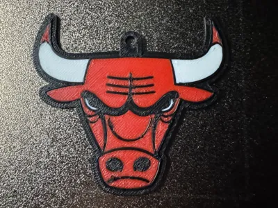 Chicago bulls Keychain