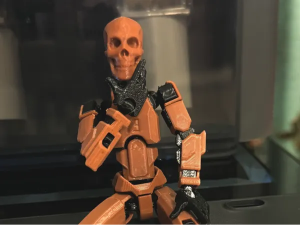 https://makerworld.bblmw.com/makerworld/model/US791b1bf3221137/design/2024-08-01_ce97e05fbb938.jpeg