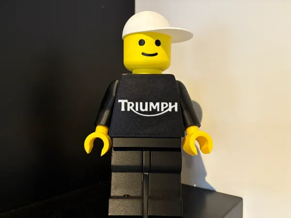 https://makerworld.bblmw.com/makerworld/model/US791fa6fed7d975/design/2025-12-13_24988acac2d1c.jpg