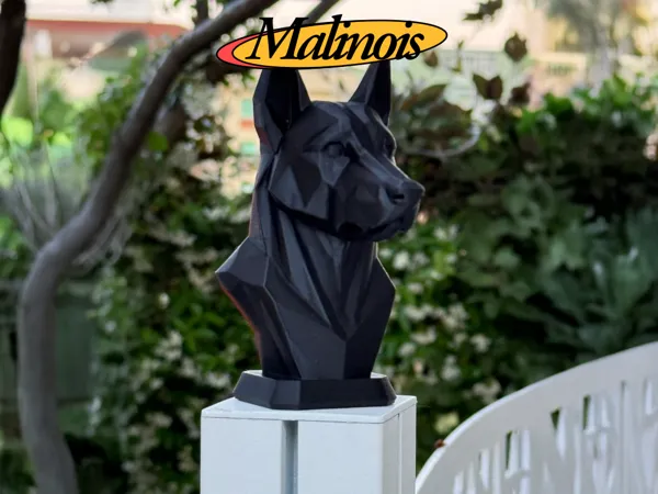 https://makerworld.bblmw.com/makerworld/model/US7924228c658263/design/2025-05-27_369885436dda38.png