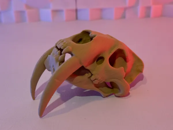 https://makerworld.bblmw.com/makerworld/model/US792517084c1c81/design/2025-07-07_c6ada33176668.jpg