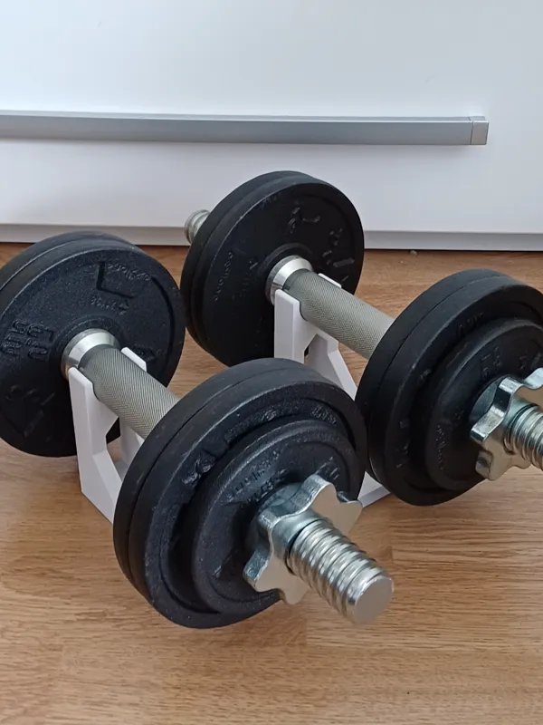 https://makerworld.bblmw.com/makerworld/model/US792687b5918b8d/design/2024-03-10_7cb5df62396dc.jpg