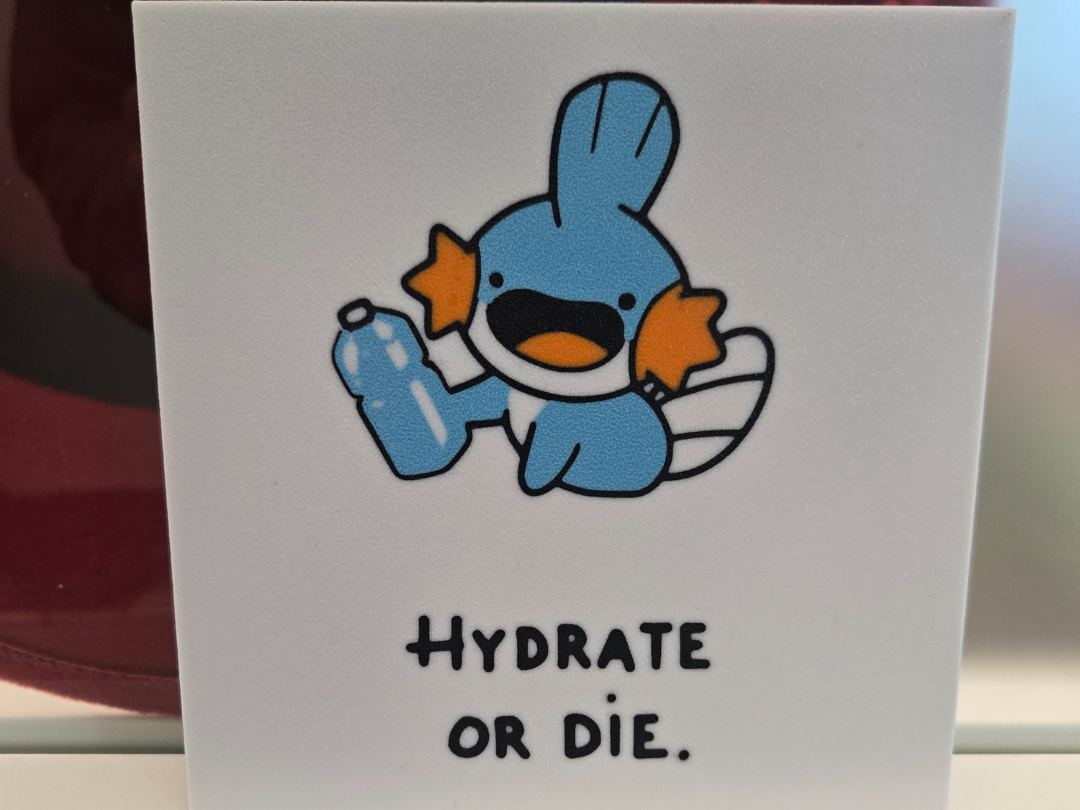 Hydrate or Die - Mudkip