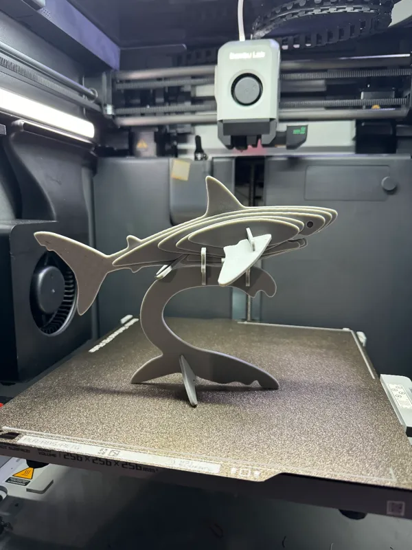 https://makerworld.bblmw.com/makerworld/model/US792a77cc032cb0/design/2024-03-03_9e9edd4dda776.jpg