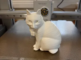 Lexi the Cat