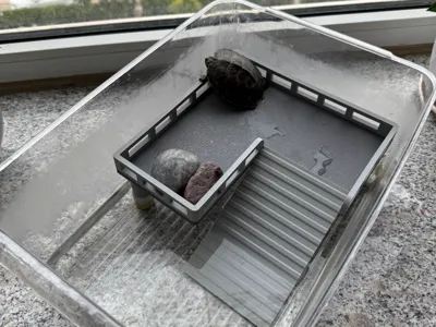 turtle basking platform