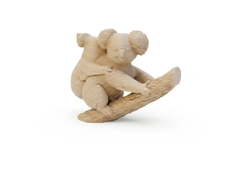 balancing koala-physics
