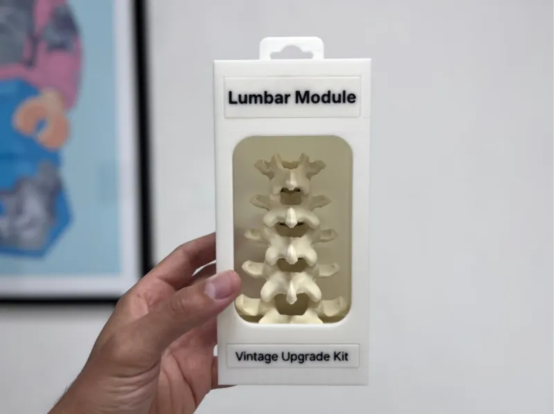 Vintage Upgrade Kit Lumbar Module | Funny Gag Gift