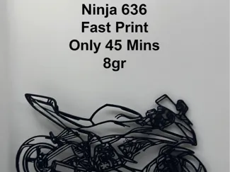 Kawasaki Ninja 636 Silhouette