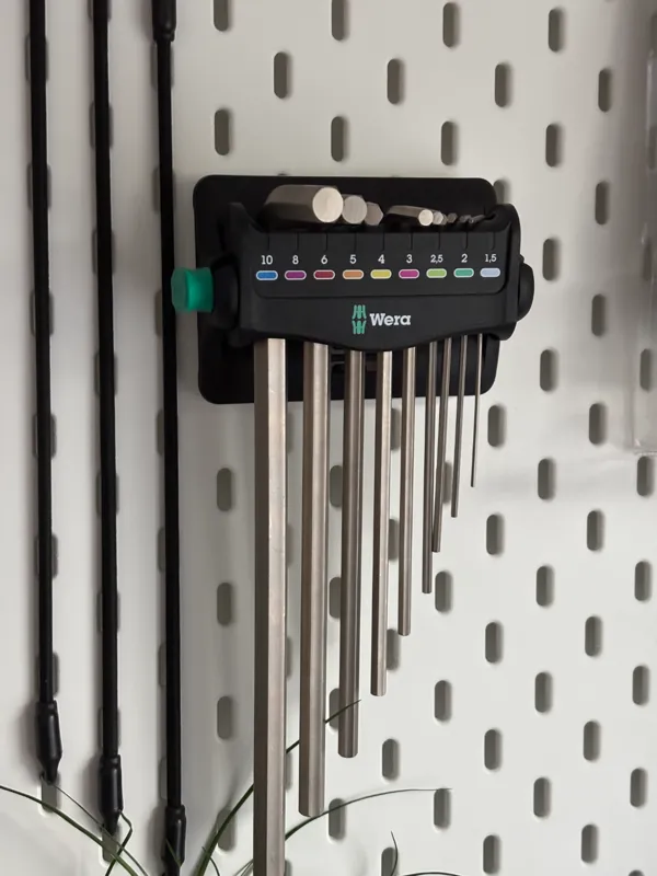 https://makerworld.bblmw.com/makerworld/model/US793ca67e730895/design/2024-12-07_08413707dc5da.jpg