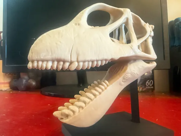 https://makerworld.bblmw.com/makerworld/model/US793d2f1f65b622/design/2026-01-03_cb16cbab60932.jpg