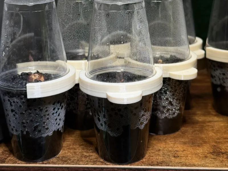 Shot Glass Greenhouse Clip 