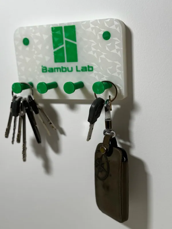 https://makerworld.bblmw.com/makerworld/model/US794988e0585433/design/2024-02-11_7371fa1cc2fa9.jpg