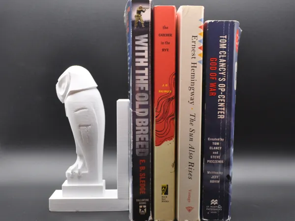 https://makerworld.bblmw.com/makerworld/model/US7949bde4ae6587/design/2025-02-01_7c50af840bfff8.jpg