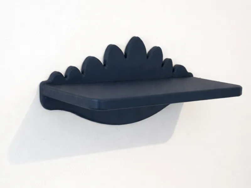 The Stego-Spine Floating Shelf