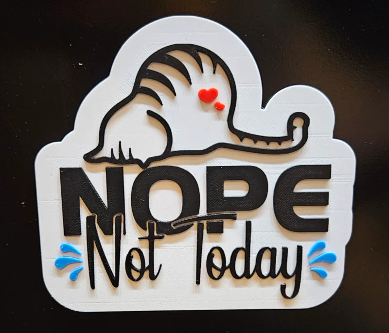 Nope Not Today Magnet