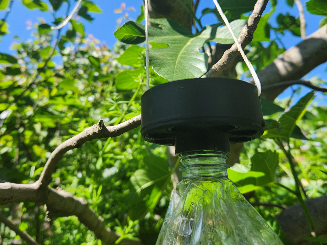 Universal Bottle Thread Hornet Trap Hanger 