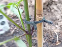 Plant Clip - PLA version