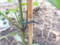 Plant Clip - PETG version