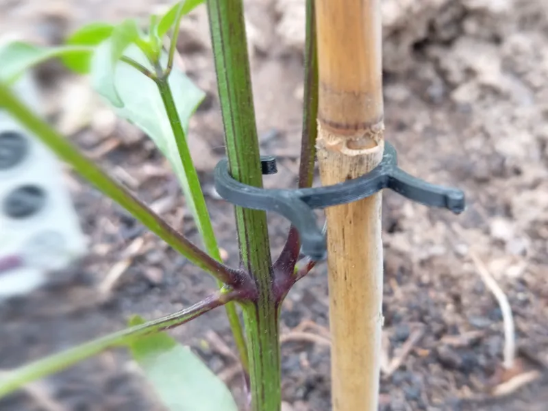Plant Clip | Plant Support
