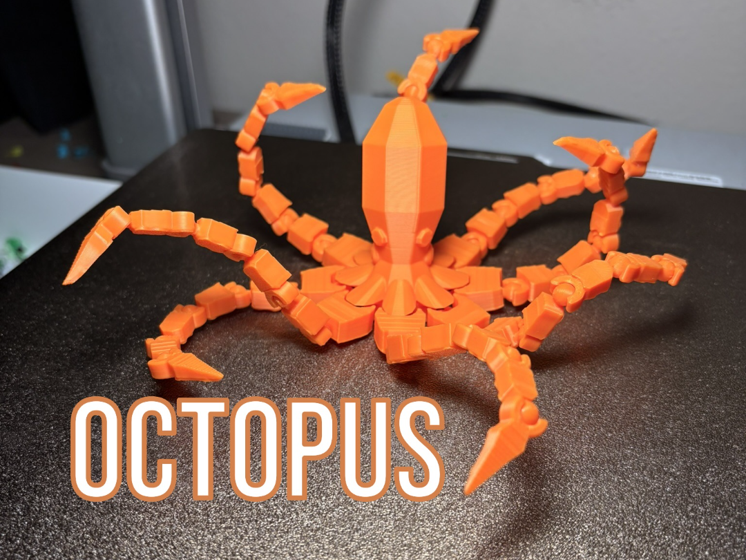octopus