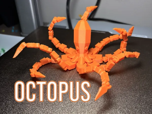 https://makerworld.bblmw.com/makerworld/model/US795296f59cc32d/design/1a6f565832be7485.jpg