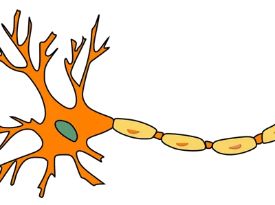 flexi nerve