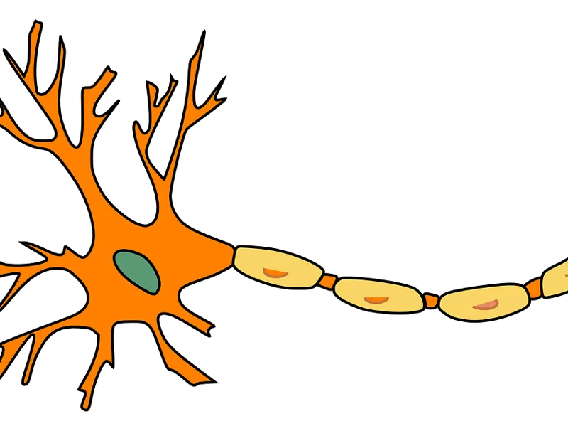 flexi nerve