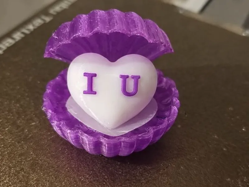 Heart in an Oyster – Personalized Love Shell