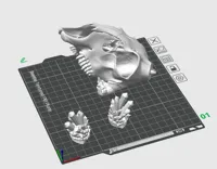 upright orientation