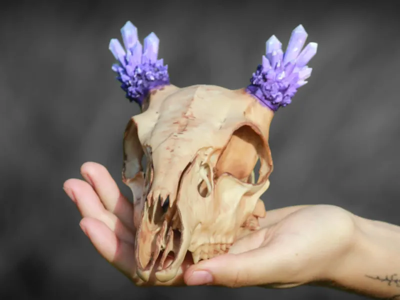 Amethyst Doe Skull Fantasy decor 