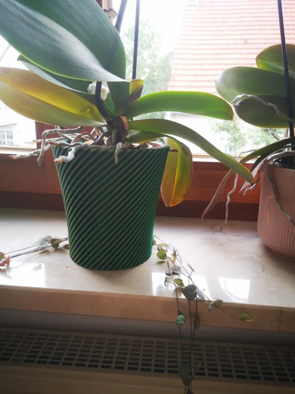 Pot à orchidée ajouré