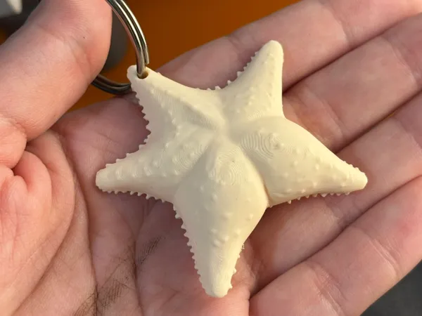 https://makerworld.bblmw.com/makerworld/model/US79666b93118235/design/2025-08-05_aee899cdcdaf7.jpg