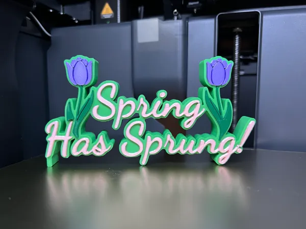 https://makerworld.bblmw.com/makerworld/model/US7966f7def86f81/design/2025-03-22_682e99f013875.jpeg