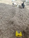 rabbit tunnel 110mm 0.28mm trough, layer,2walls, 15% infill